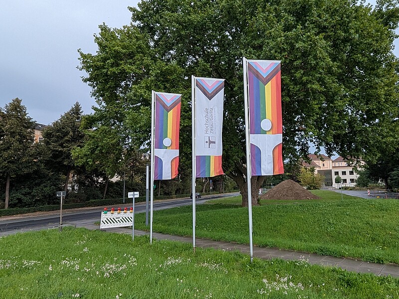 Fahnen an drei Masten mit dem Logo der Hochschule Zittau/Görlitz in Regenbogenfarben im Stil der Progressive-Pride-Fahne am Innenstadtring von Zittau.